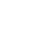 IRIS logo image